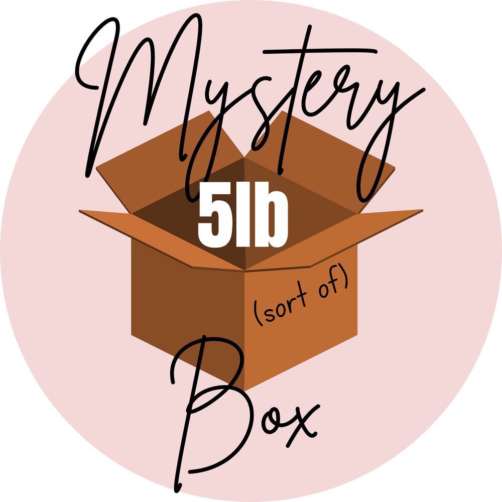 MYSTERY BOX (sort of) Womens Size MEDIUM 8-10 - 5LB CLOTHING Mixed Lot 2503